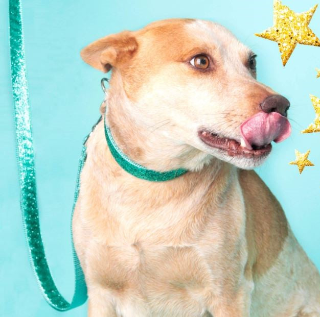 Hundesnore - Hunde - Sparkly Mermaid Glimmer (Længde: 183 cm)