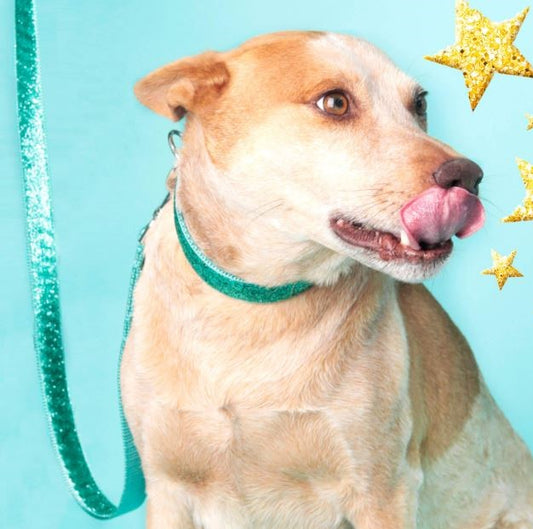 Hundesnore - Hunde - Sparkly Mermaid Glimmer (Længde: 183 cm)